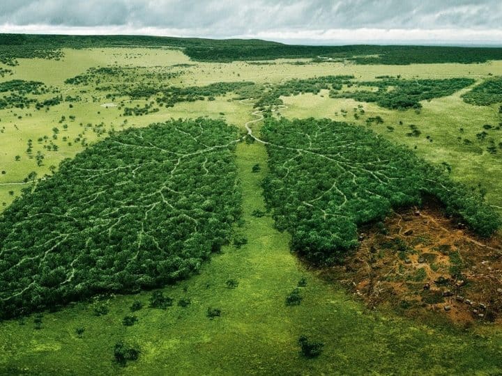 Top Stunning Ways To Save The Environment From Destruction