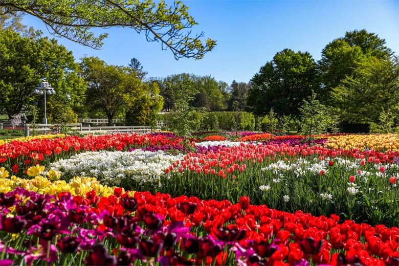 butterfly garden